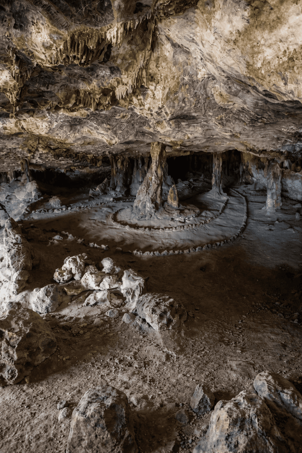 Aruba feature showcase 4